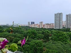 Blk 315A Teck Ghee Vista (Ang Mo Kio), HDB 4 Rooms #589699291